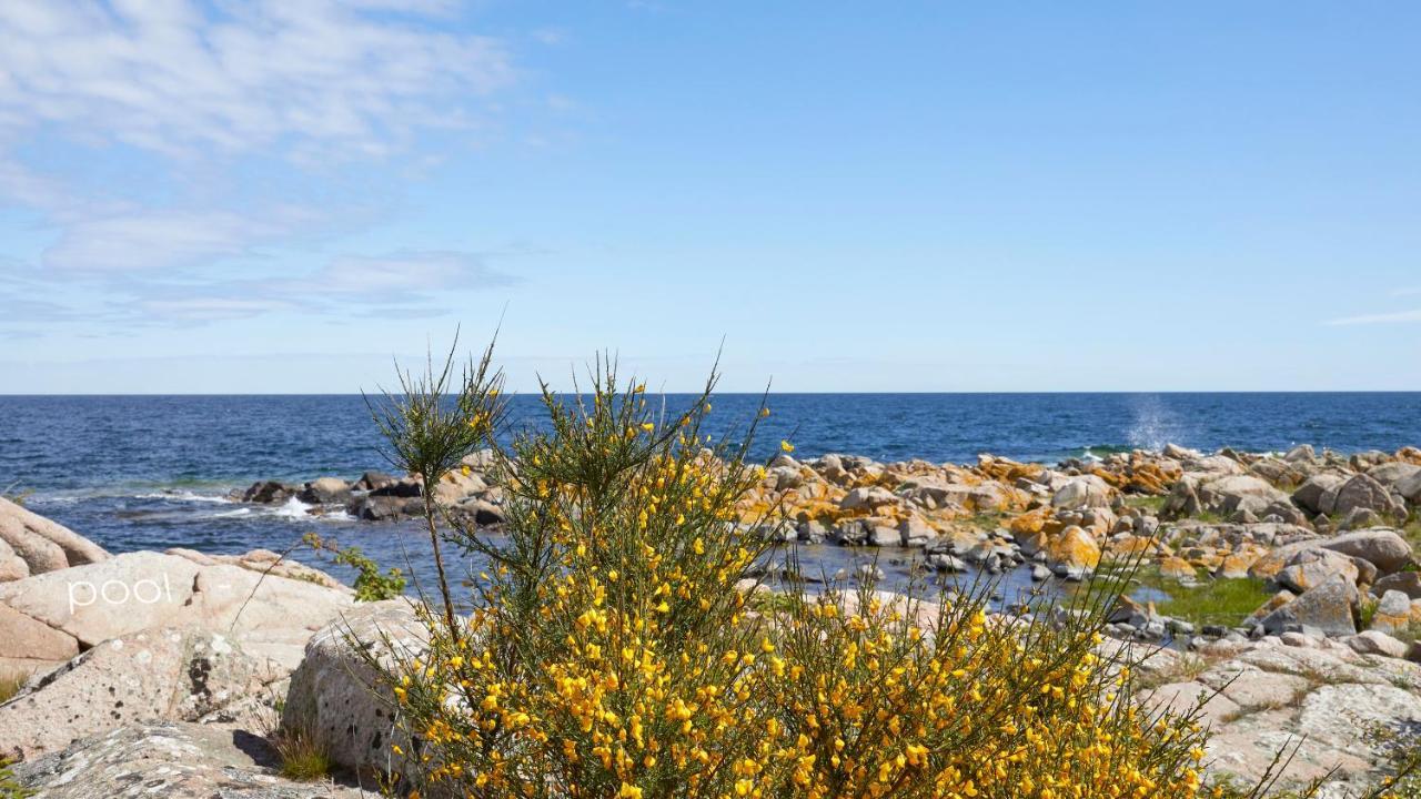 Nordlandet 4* Аллинге